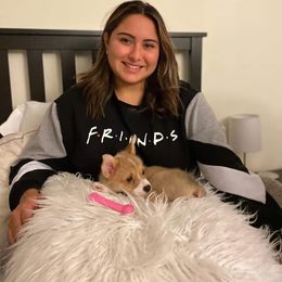 American Corgi and Pembroke Welsh Corgi Puppies from Rainbow Corgis