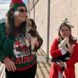 Aussiedoodle, Australian Shepherd, Miniature American Shepherd, and Miniature Australian Shepherd Puppies from Bline Family Farm