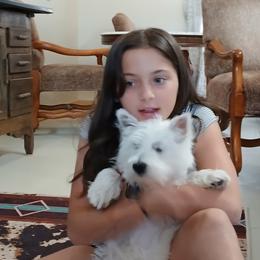 West Highland White Terrier Puppies from Wagglesworth Westies