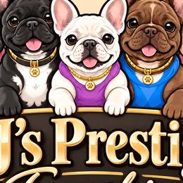 French Bulldogs from BJ's Prestige Frenchies