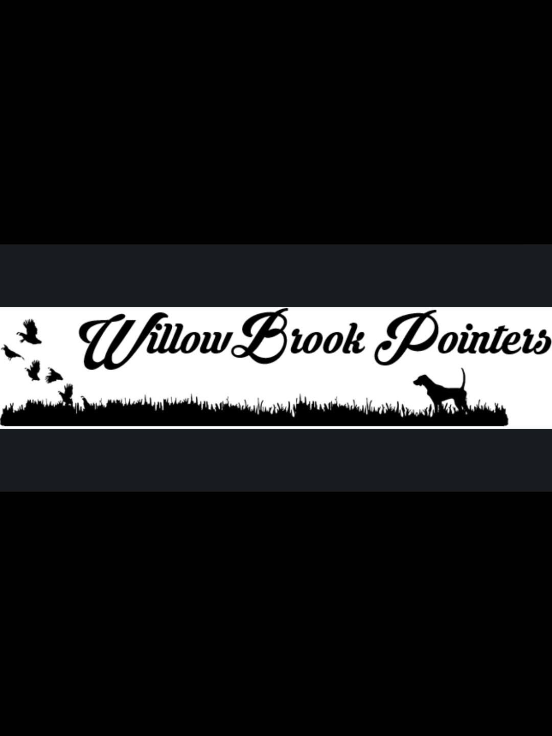 Pointers from WillowBrook Pointers