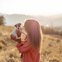 Jack Russell Terrier Puppies from Shavano Creek Jack Russell Terriers, LLC