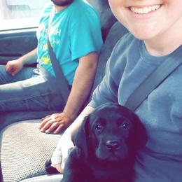Labrador Retriever Puppies from Twisted Clovers LLC