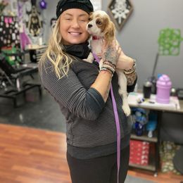 Cavalier King Charles Spaniel Puppies from Mapleview Cavalier King Charles Spaniels