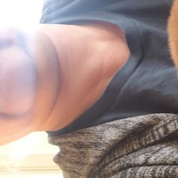 Shiba Inu Puppies from Katrina Nielsen