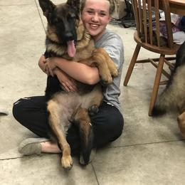 German Shepherd Puppies from Oregon German Shepherds