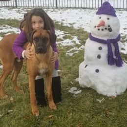 Rhodesian Ridgeback Puppies from Lyonnese Rhodesian Ridgebacks
