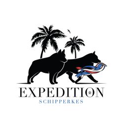 Schipperke All Grown Up from Expedition Schipperkes