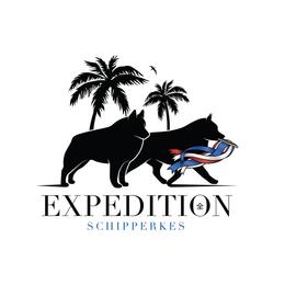 Schipperke All Grown Up from Expedition Schipperkes
