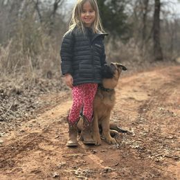 German Shepherd Puppies from Ewig Krieger Kennels