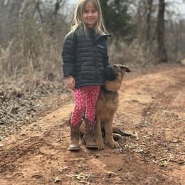 German Shepherd Puppies from Ewig Krieger Kennels