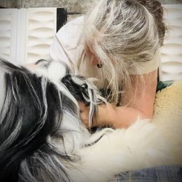 Bearded Collie and Border Collie Puppies from Beloved Bearded & Border Collies