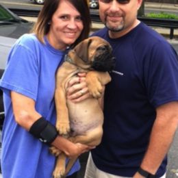 Bullmastiffs, French Bulldogs, and Spinoni Italiani from McDonald’s Bullmastiffs