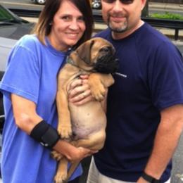 Bullmastiffs, French Bulldogs, and Spinoni Italiani from McDonald’s Bullmastiffs