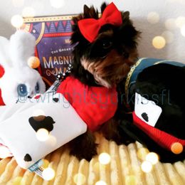 Yorkshire Terrier Puppies from Twilights Yorkies FL