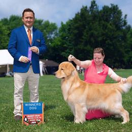 Jeffry - Golden Retriever