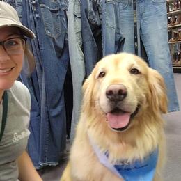Golden Retriever All Grown Up from Julie’s Jewels Puppies