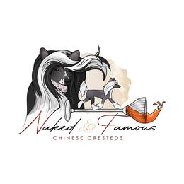 Female 4 - Black female Chinese Crested puppy in Salt Lake City, Utah from Naked & Famous