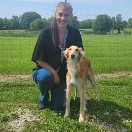 Juicy - Silken Windhound