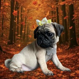 Pug Puppies from Lisa's Pugalicious Pugs