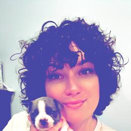 French Bulldog Puppies from Kismet French Bulldogs