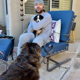 Lainey AKA Beauty - Black tri-color female Australian Shepherd puppy in Scottsdale, Arizona from B & T's Aussies & Aussie Doodle's