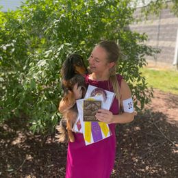 Dachshund All Grown Up from PriMar Miniature Longhaired Dachshunds
