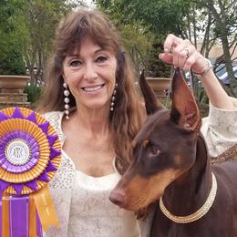 Doberman Pinschers from Rok'n Dobermans