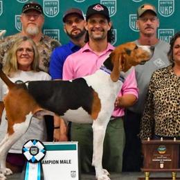Treeing Walker Coonhounds from Cherry creek kennel