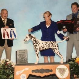 Beagle and Dalmatian Puppies from Dreamworks Dalmatians