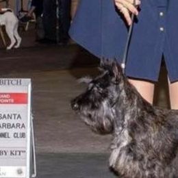 Scottish Terriers and West Highland White Terriers from Bonny's Scotties and Westies