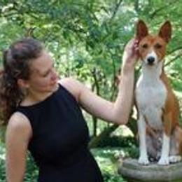 Basenjis, German Wirehaired Pointers, and Pointers from Mountain View Kennel