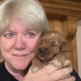 Pink Girl - Dark golden female Golden Retriever puppy in Gonzales, Louisiana from True Grit Golden Retrievers