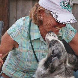 Australian Shepherds from Windmill Australian Shepherds