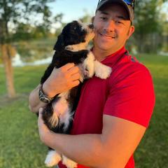 Aussiedoodle and Bordoodle Puppies from Dood B Ranch Doodles