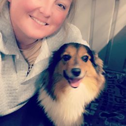 American Corgi and Pembroke Welsh Corgi Puppies from Beebe’s Corgis