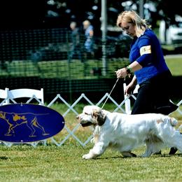 Gamble - Clumber Spaniel