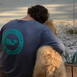 Goldendoodles and Maltipoos from Palm View Pups