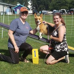 Pembroke Welsh Corgi Puppies from Outlands Corgis
