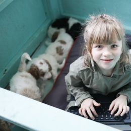 Goldendoodle Puppies from Derby Doodles