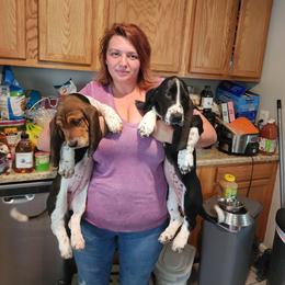 Basset Hound Puppies from Riley Bassett Hounds