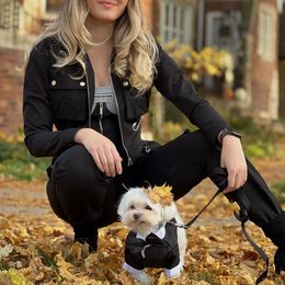 Shiro - Maltese