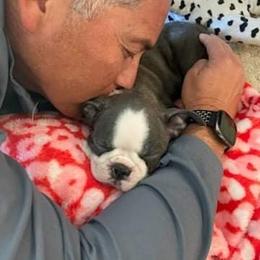 Boston Terrier Puppies from Beatrice's Kennels