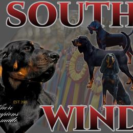 Black and Tan Coonhounds from Southwind Black and Tan Coonhounds