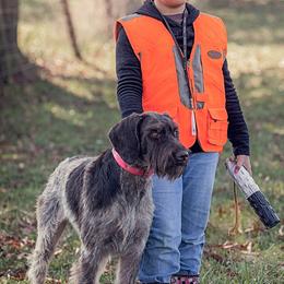 German Wirehaired Pointers and Pudelpointers from Ripsnorter Kennels