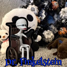 Dr. Finkelstein - Black male Labrador Retriever puppy in Water Valley, Mississippi from Three Lakes Labs & WHDs