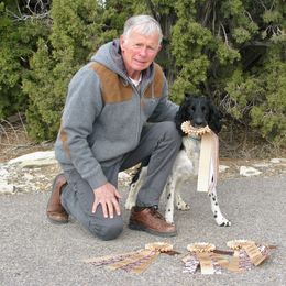 English Springer Spaniel All Grown Up from Blue River Kennel