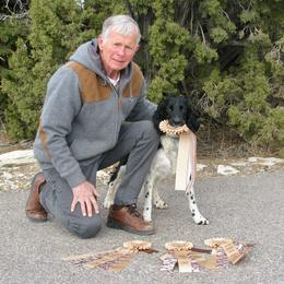 English Springer Spaniel All Grown Up from Blue River Kennel