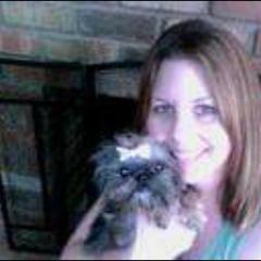 Brussels Griffon Puppies from Brussels and Broodle's and Shiffon's oh my