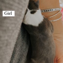 Boy 2 - Italian Greyhound puppy in Waianae, Hawaii from Makanalani Yorkies and Iggys